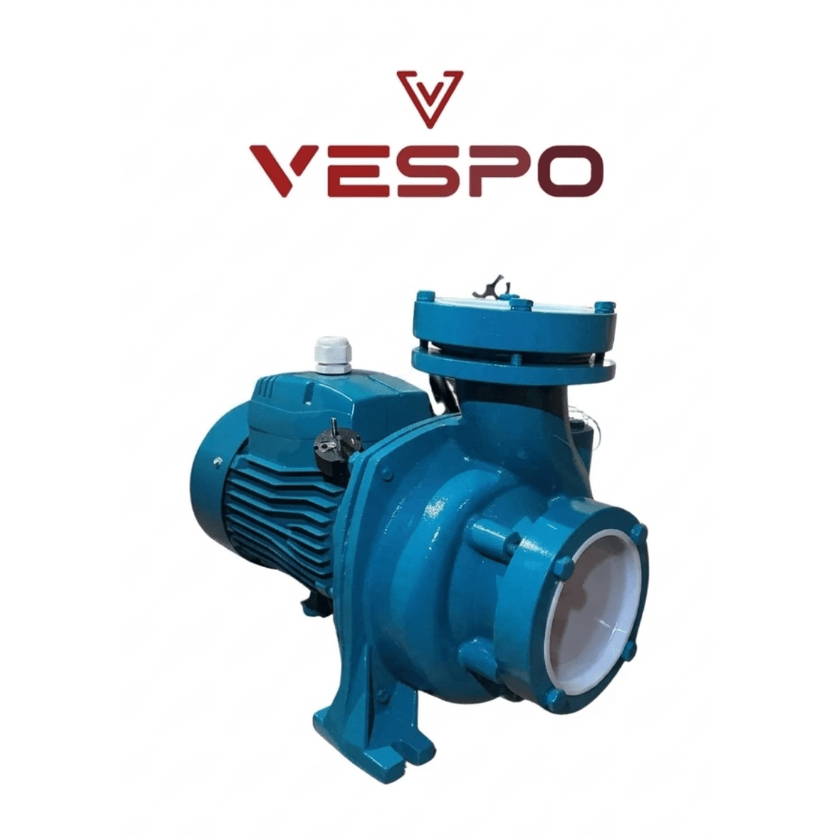 Vespo 4HP Flanşlı Santrifüj Pompa | 17 mss 78m³/h | VF 130