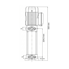 Alarko 2 Hp Dikey Milli Çok Kademeli Santrifüj Pompa | 220V | Diamon PLD 4-6